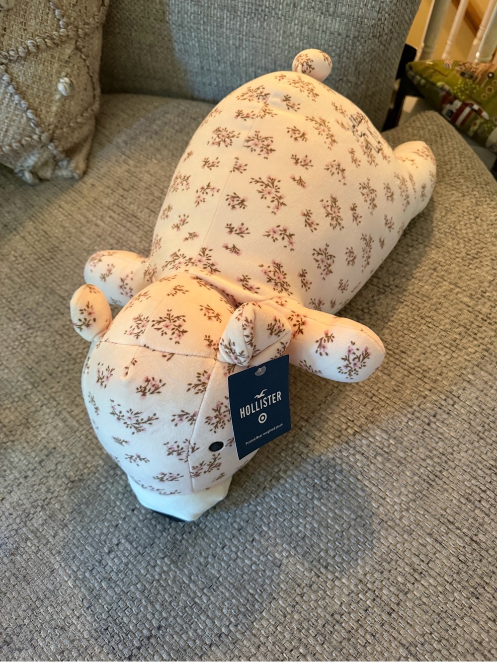 NWT Hollister Target Pink Floral Bear Weighted Plush Throw Pillow